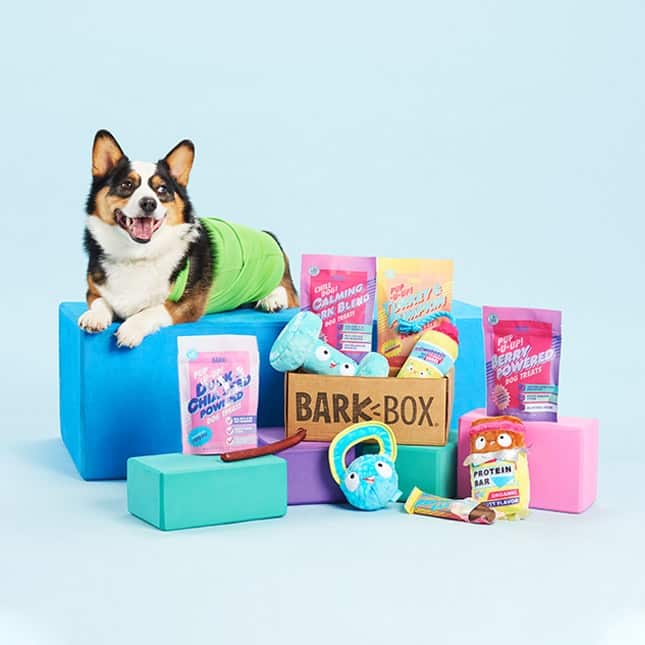 BarkBox Subscription Review 1