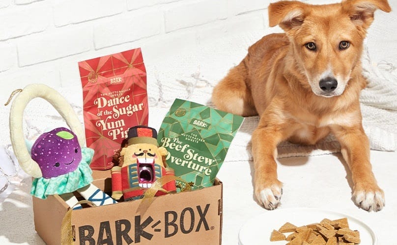 BarkBox Subscription Review 6