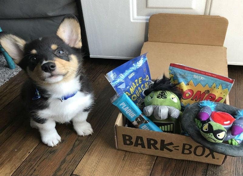 BarkBox Subscription Review 7