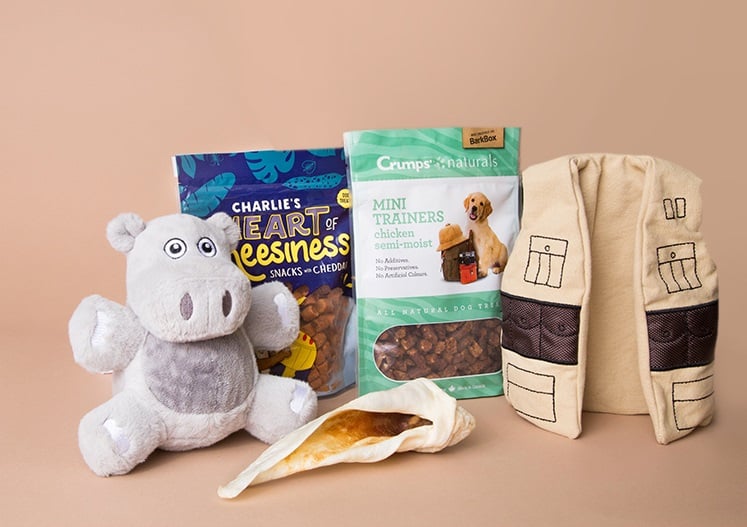 BarkBox Subscription Review 8