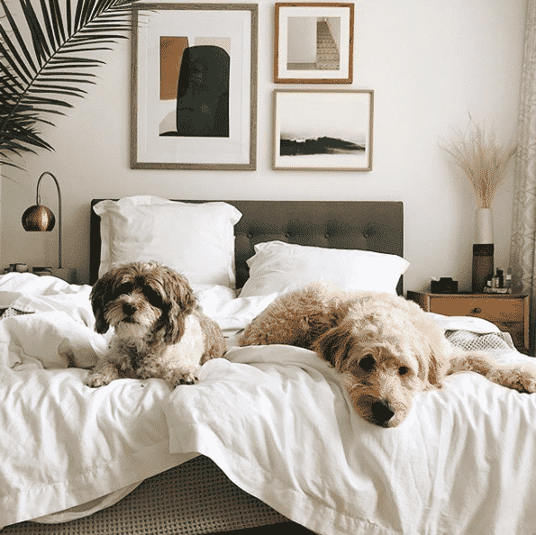 Boll and Branch Sheets Review 15