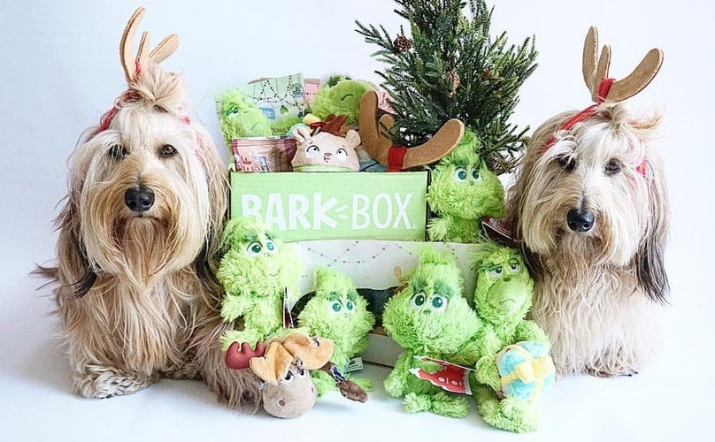 BarkBox Subscription Review 4