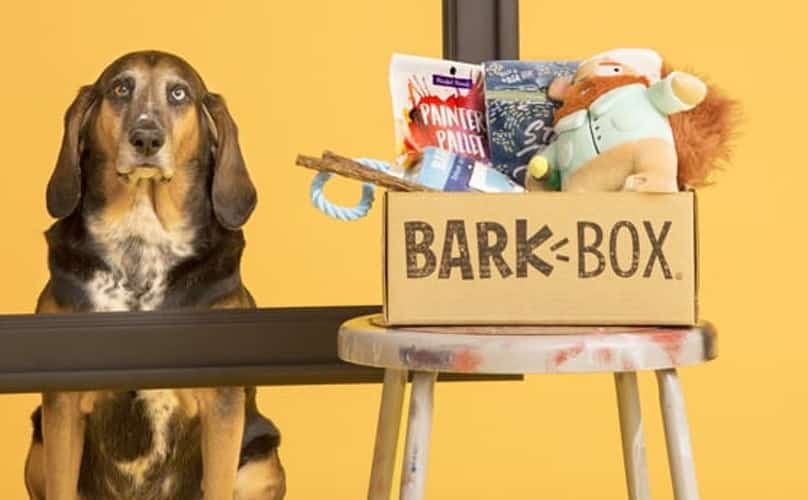 BarkBox Subscription Review 3