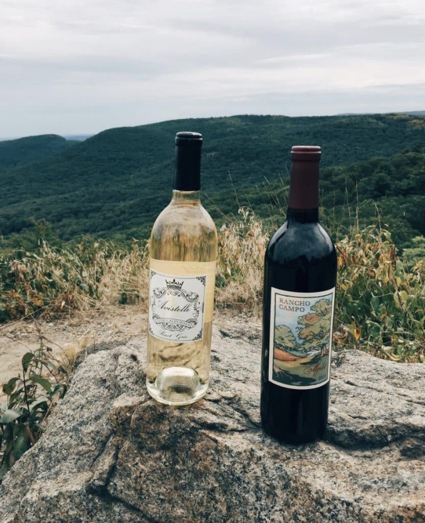 FirstLeaf Wine Club Review