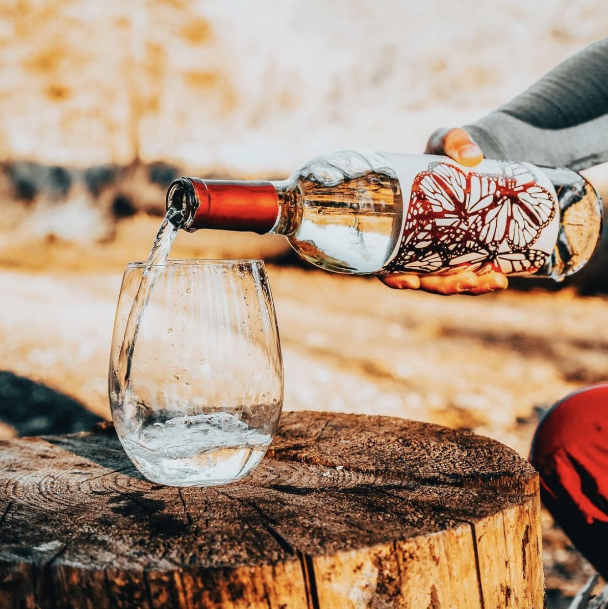 Wine Insiders Wine Club Review Must Read This Before Buying