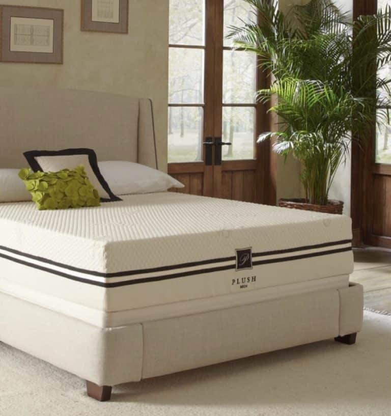 PlushBeds Mattress Review Must Read This Before Buying