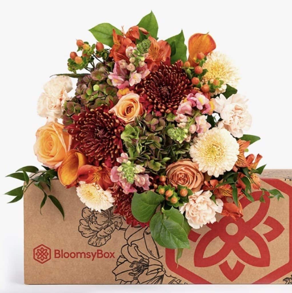 BloomsyBox Flowers Review