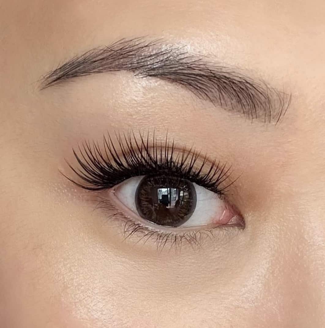 Lashify Lashes Review Must Read This Before Buying