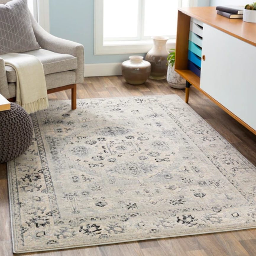 Boutique Rugs Zephyr Area Rug Review 