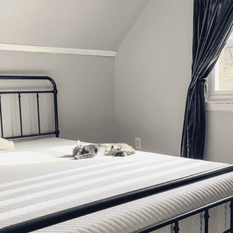 Leesa Mattress Review
