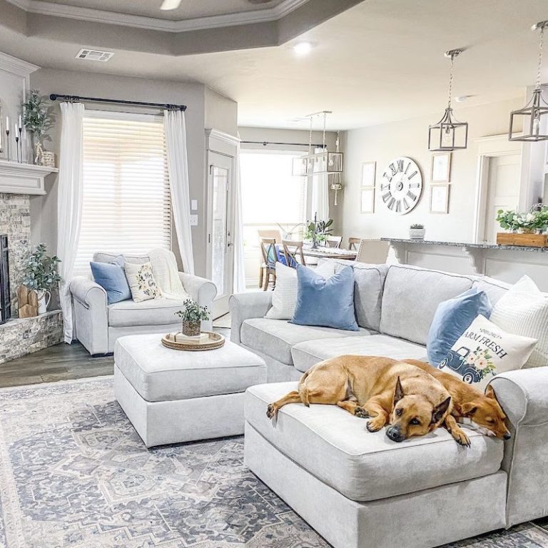 Lovesac Furniture Review Must Read This Before Buying