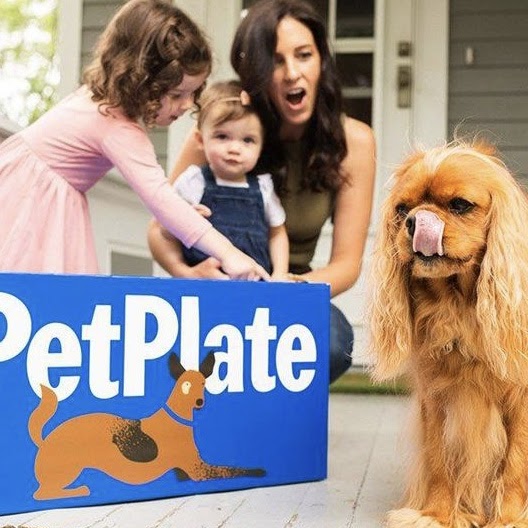 Pet Plate Dog Food Review