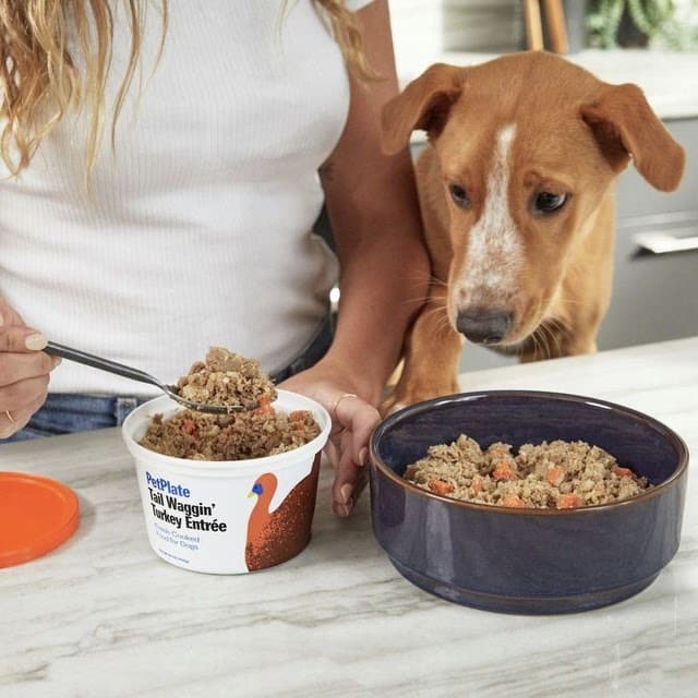 Pet Plate Dog Food Review