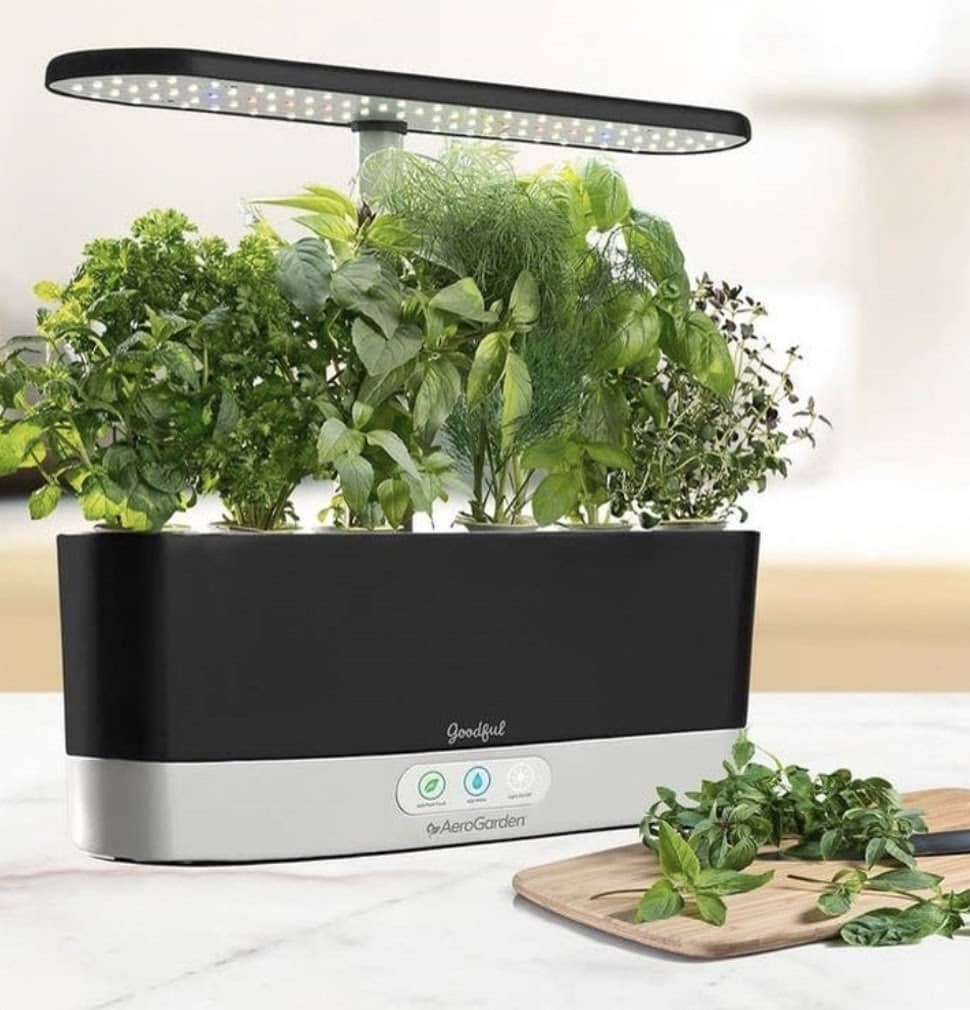 aerogarden