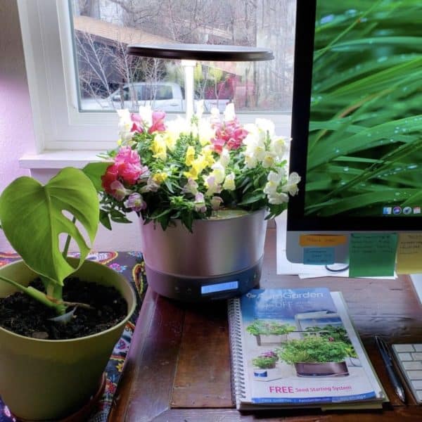 AeroGarden Pods Review Must Read This Before Buying