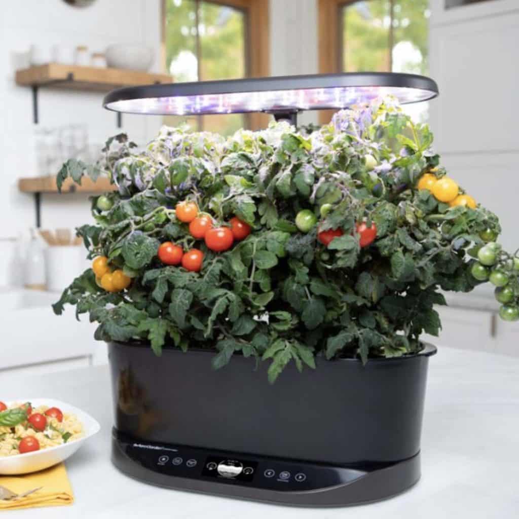 AeroGarden Bounty Basic Review