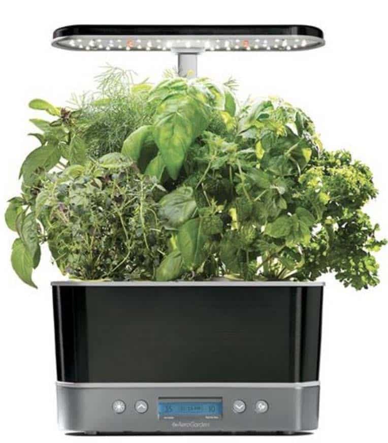 AeroGarden Harvest Elite Review