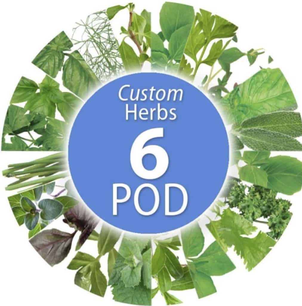 AeroGarden Custom Herb Seed Pod Kit Review