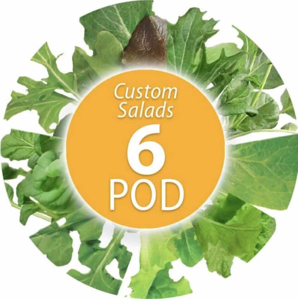 AeroGarden Custom Salad Seed Pod Kit Review