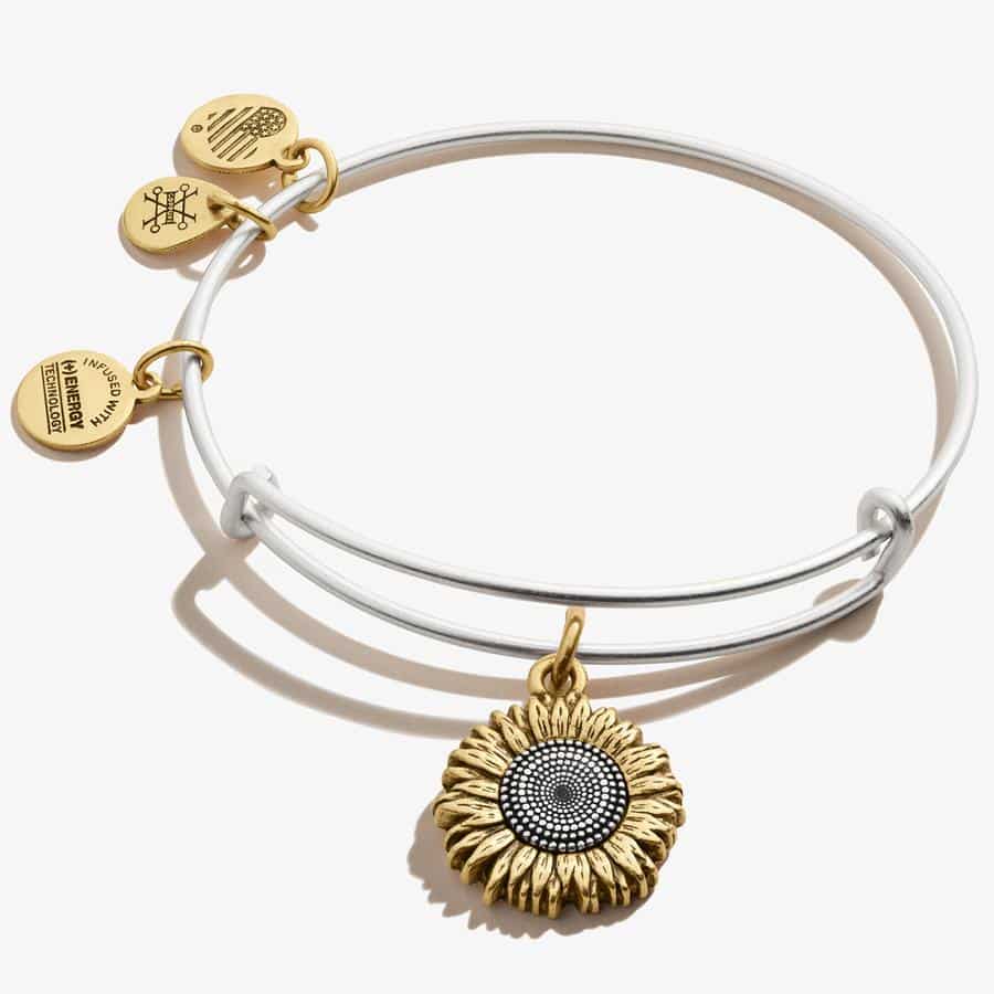 Alex and Ani Jewelry Review - Must Read This Before Buying