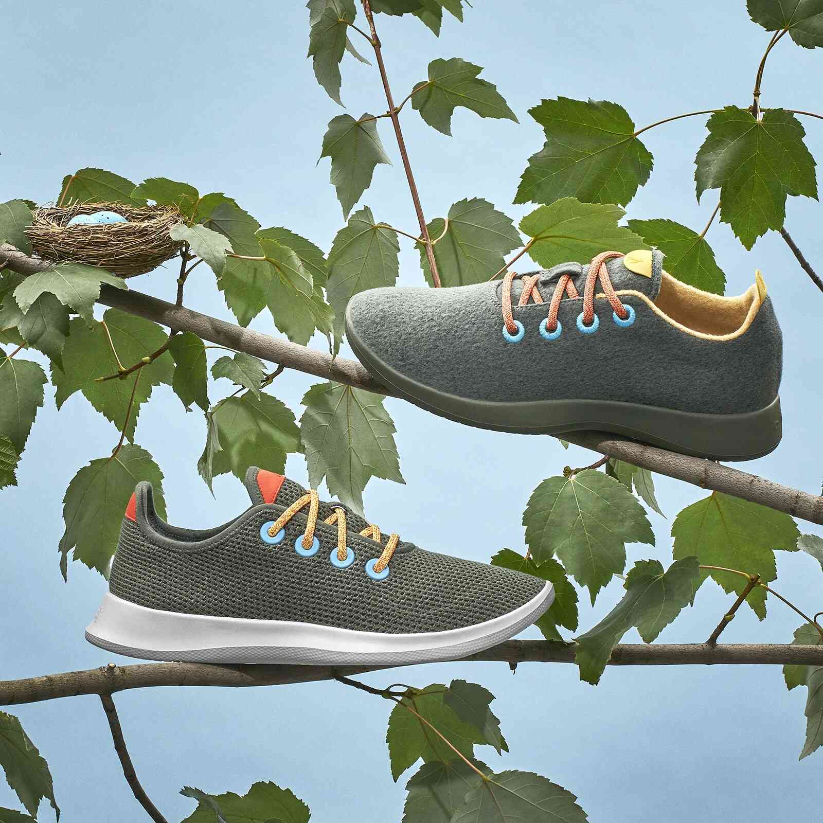 Allbirds Shoes Review Must Read This Before Buying