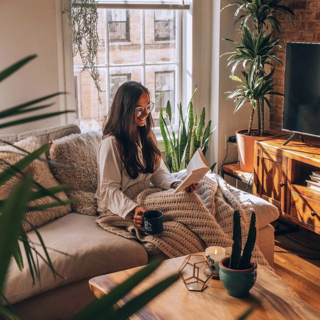 Bloomscape Plants Review - Must Read This Before Buying