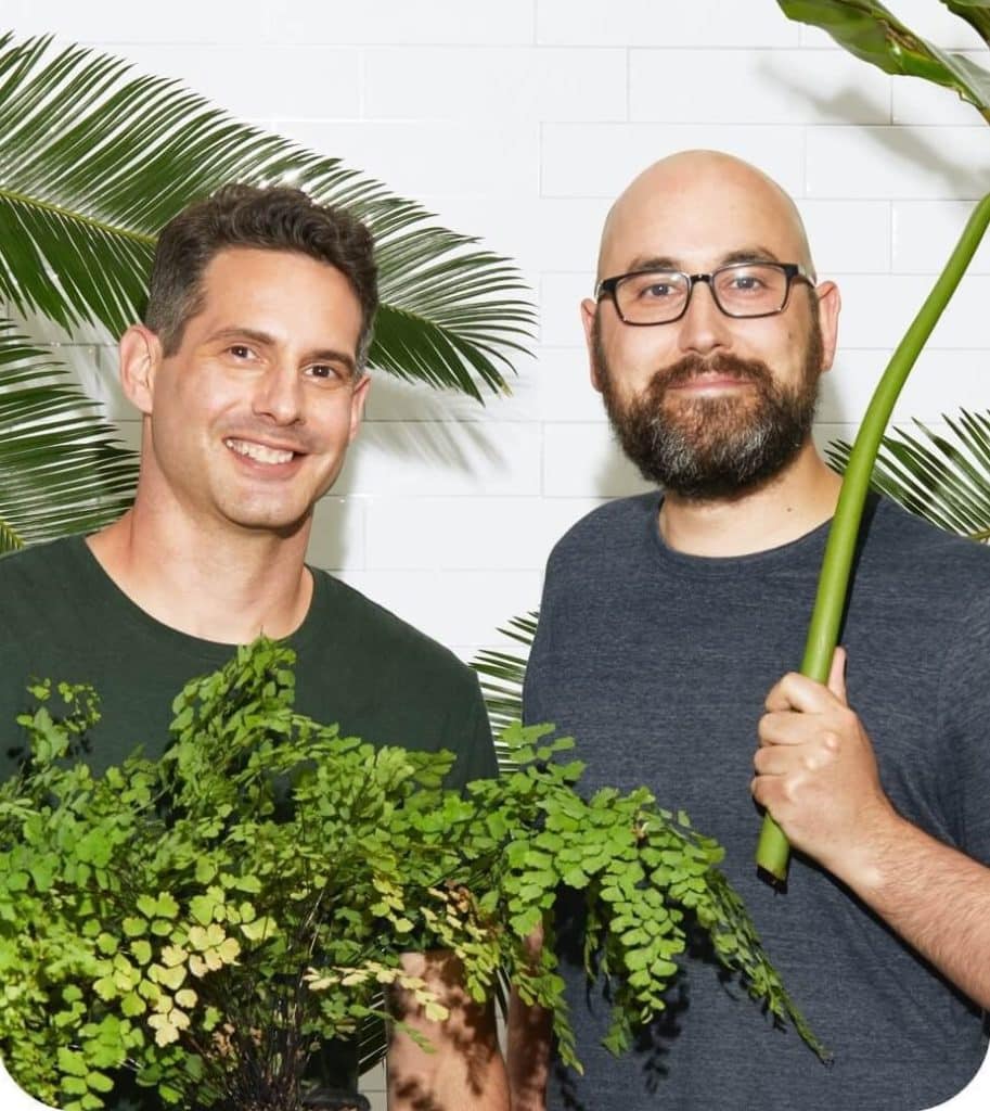 Overview of Leaf Shave