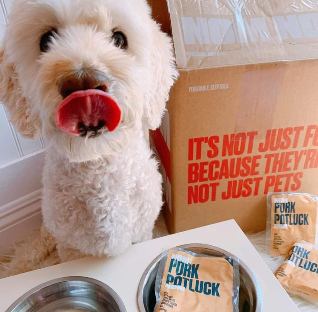 Nom Nom Pet Food Review