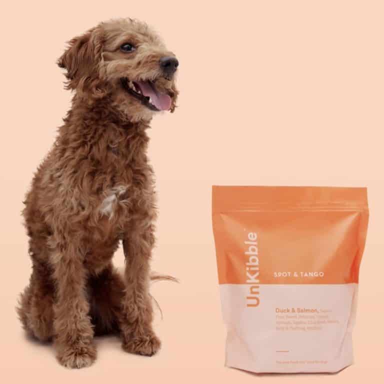 Spot and Tango Dog Food Review Must Read This Before Buying