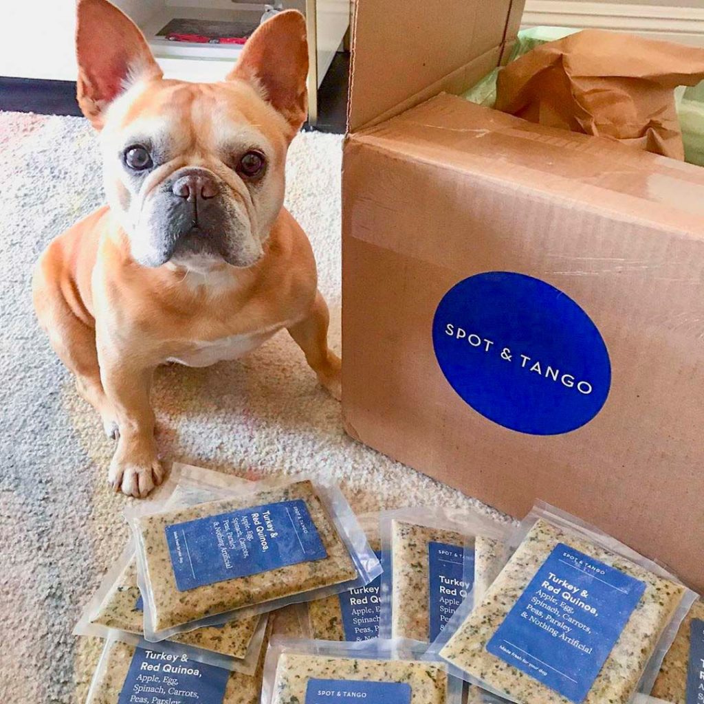 Spot and Tango Dog Food Review