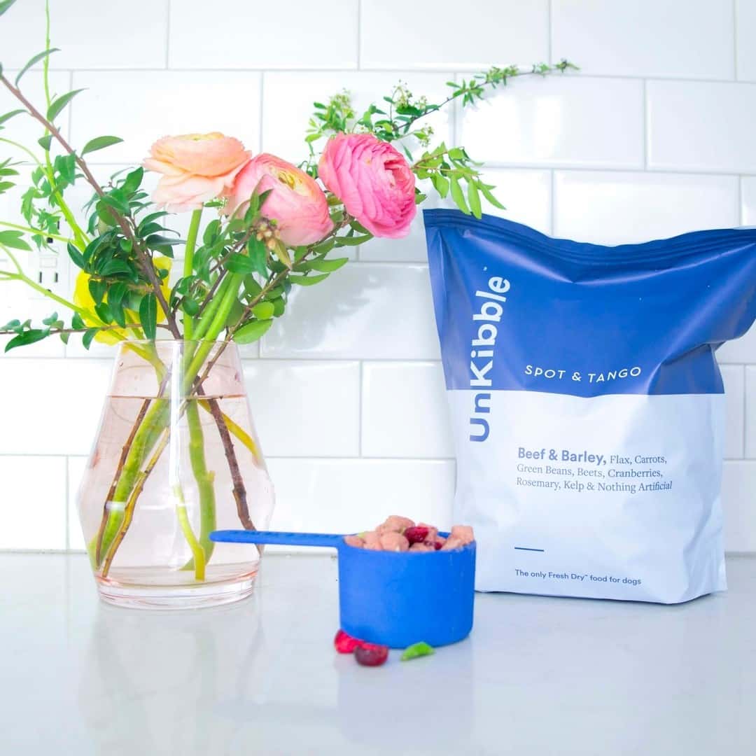 Spot and Tango Dog Food Review Must Read This Before Buying