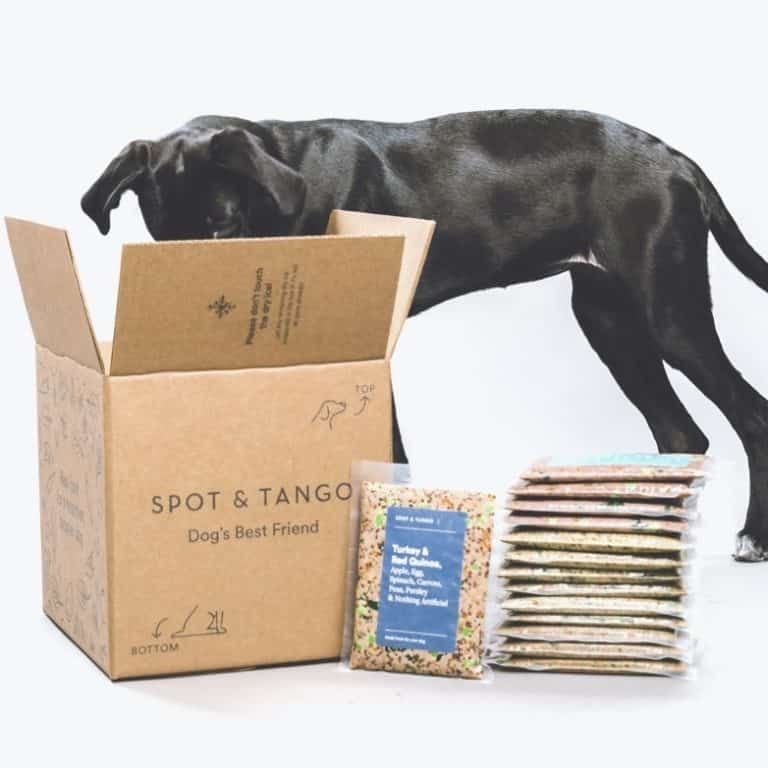 Spot and Tango Dog Food Review Must Read This Before Buying