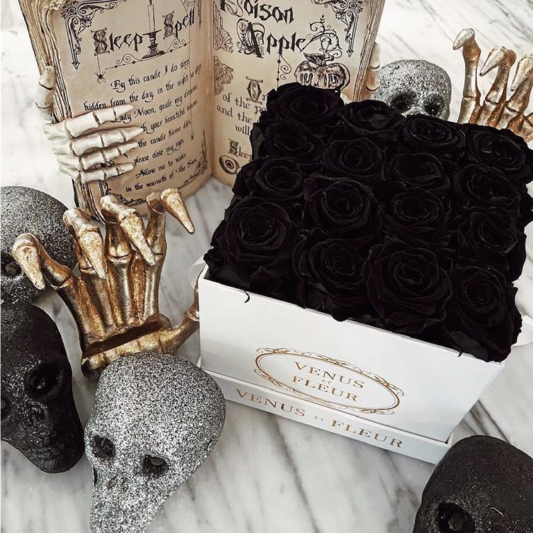 Venus Et Fleur Flowers Review Must Read This Before Buying