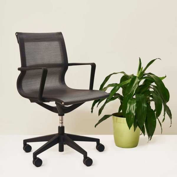 Branch Furniture Review Must Read This Before Buying