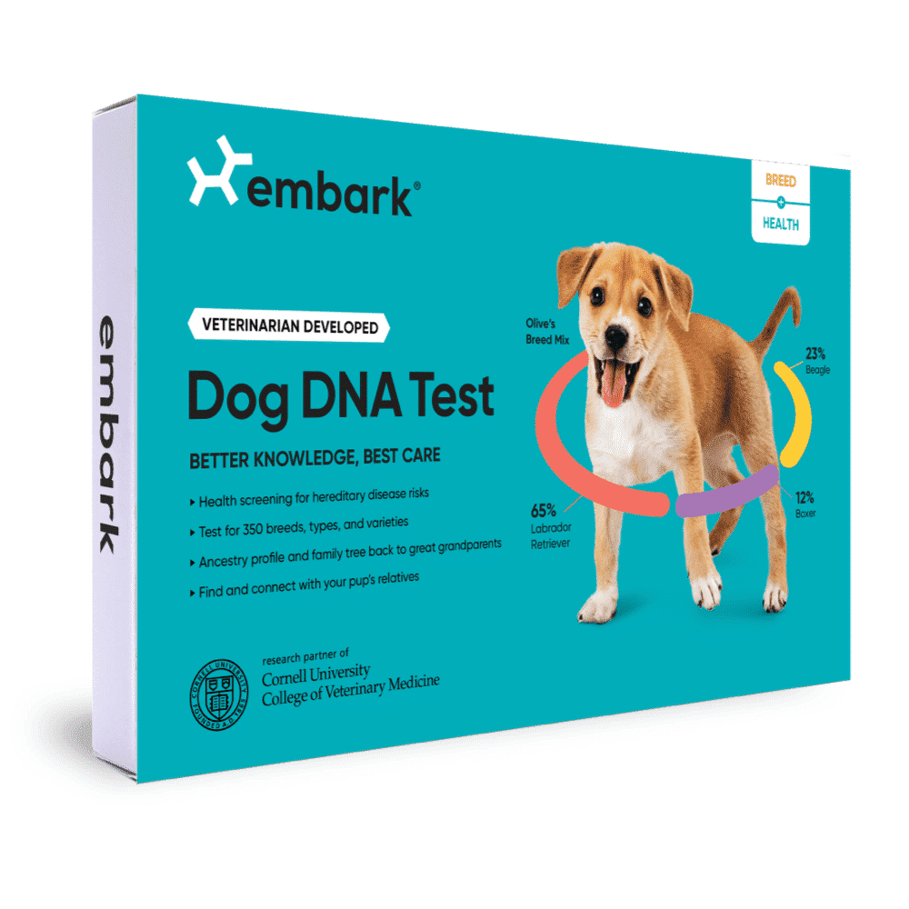 Embark Breed + Health Kit Review