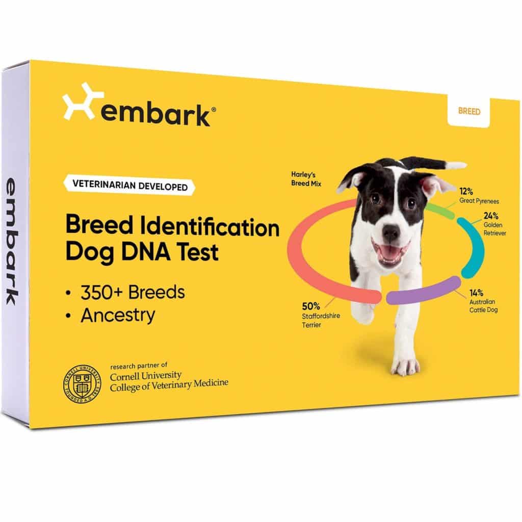 Embark Breed ID Kit Review