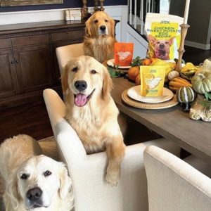 Jinx Dog Food Review - Must Read This Before Buying