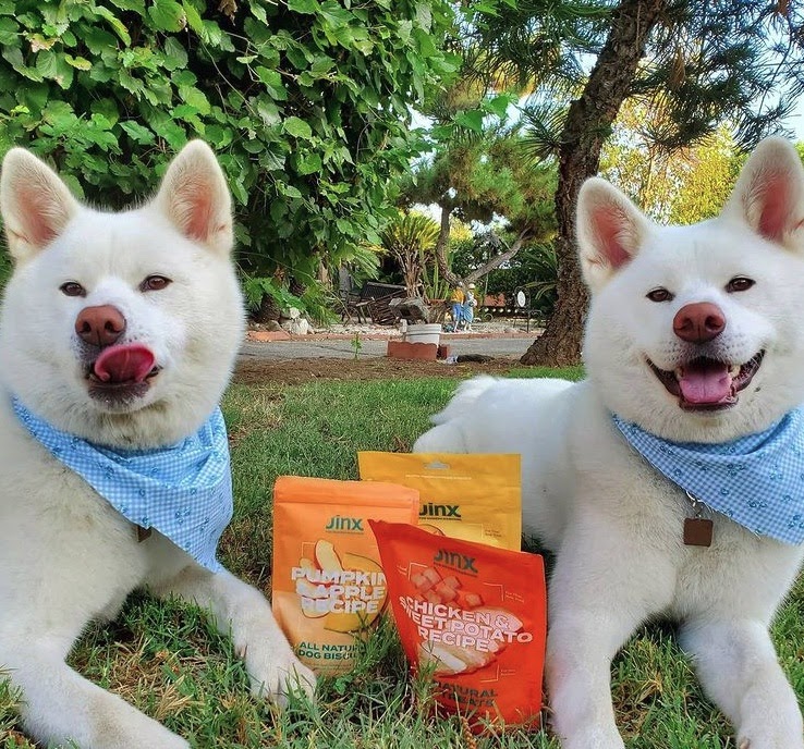 Jinx Dog Food Review