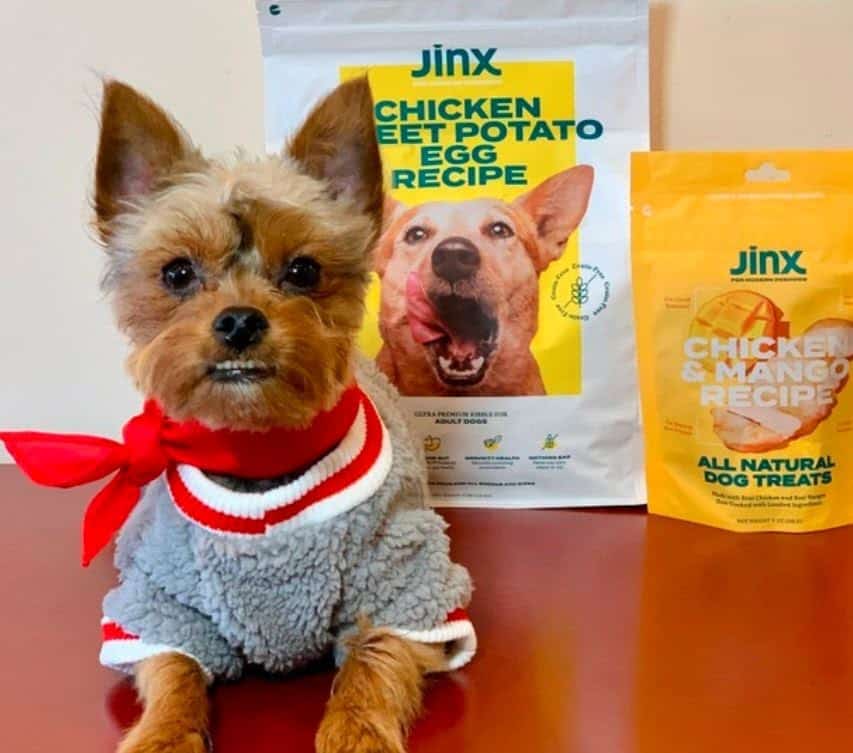 Jinx Dog Food Review