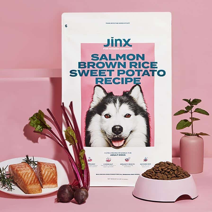 Jinx Salmon, Brown Rice and Sweet Potato Kibble Review