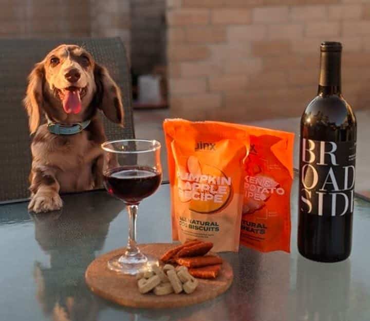 Jinx Pumpkin and Apple Dog Treats Review