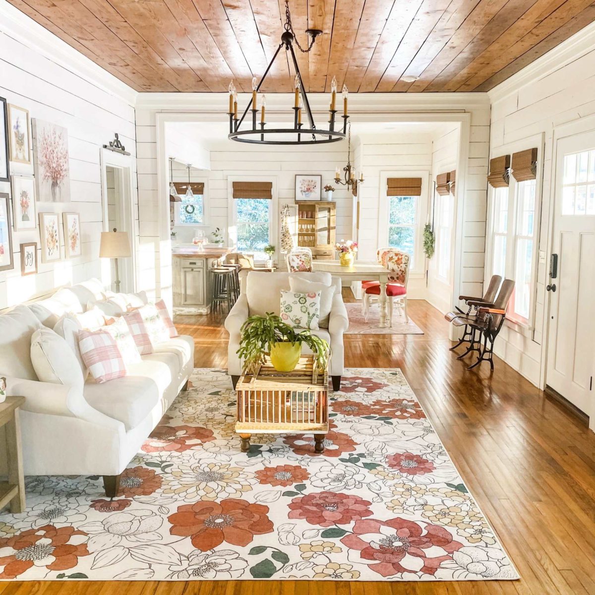 Ruggable Rugs Review Must Read This Before Buying