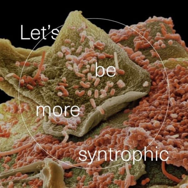 Seed Probiotics Review - Must Read This Before Buying