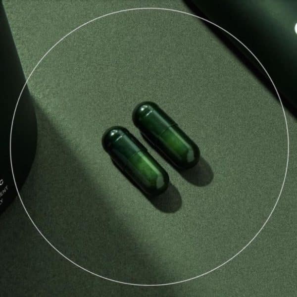 Seed Probiotics Review Must Read This Before Buying