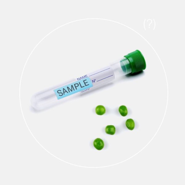 Seed Probiotics Review Must Read This Before Buying