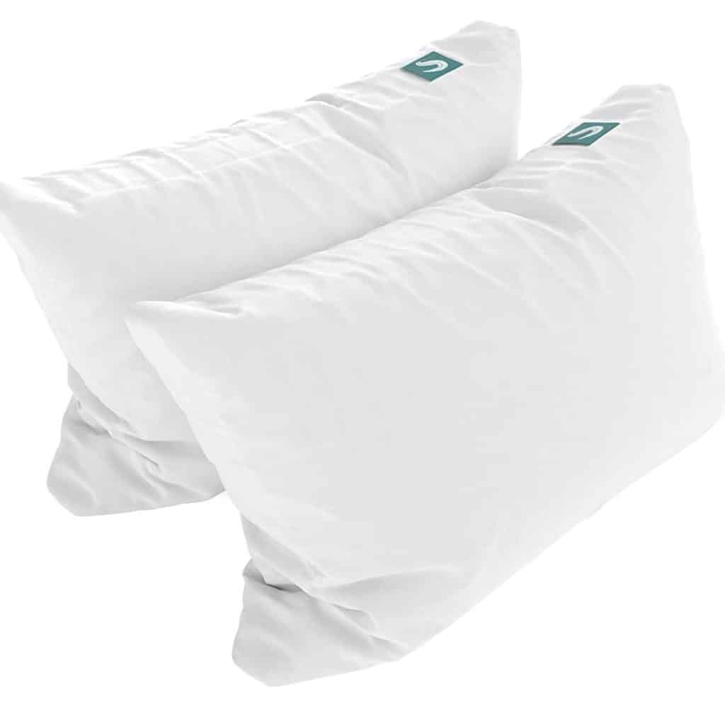 Sleepgram Pillowcase (2-Pack) Review