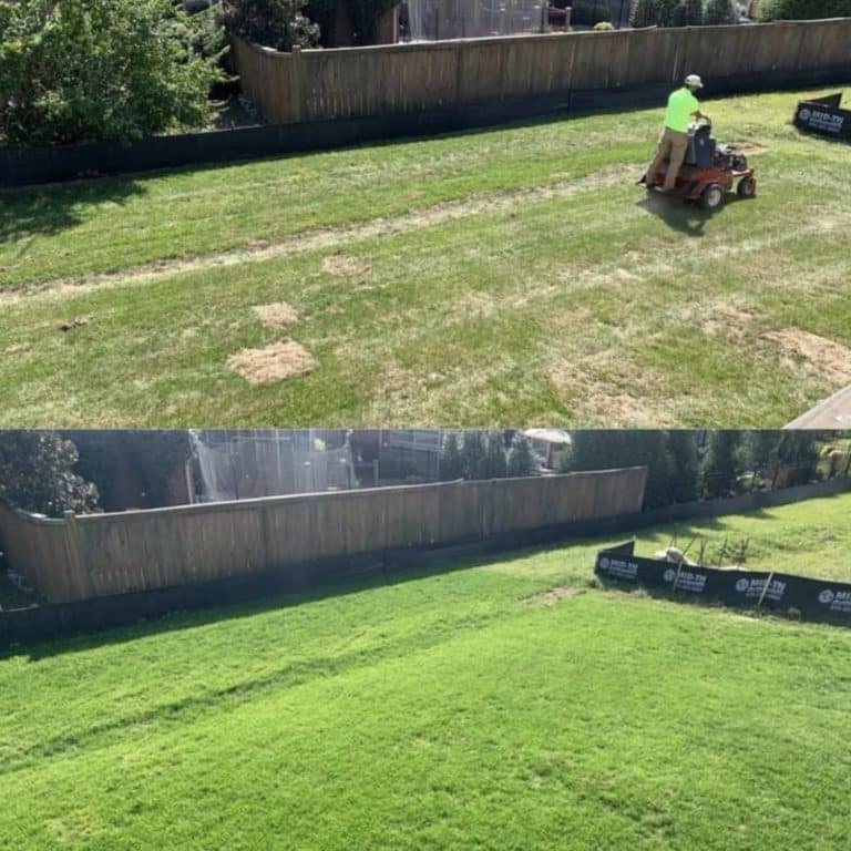 Sunday Lawn Care Review Must Read This Before Buying