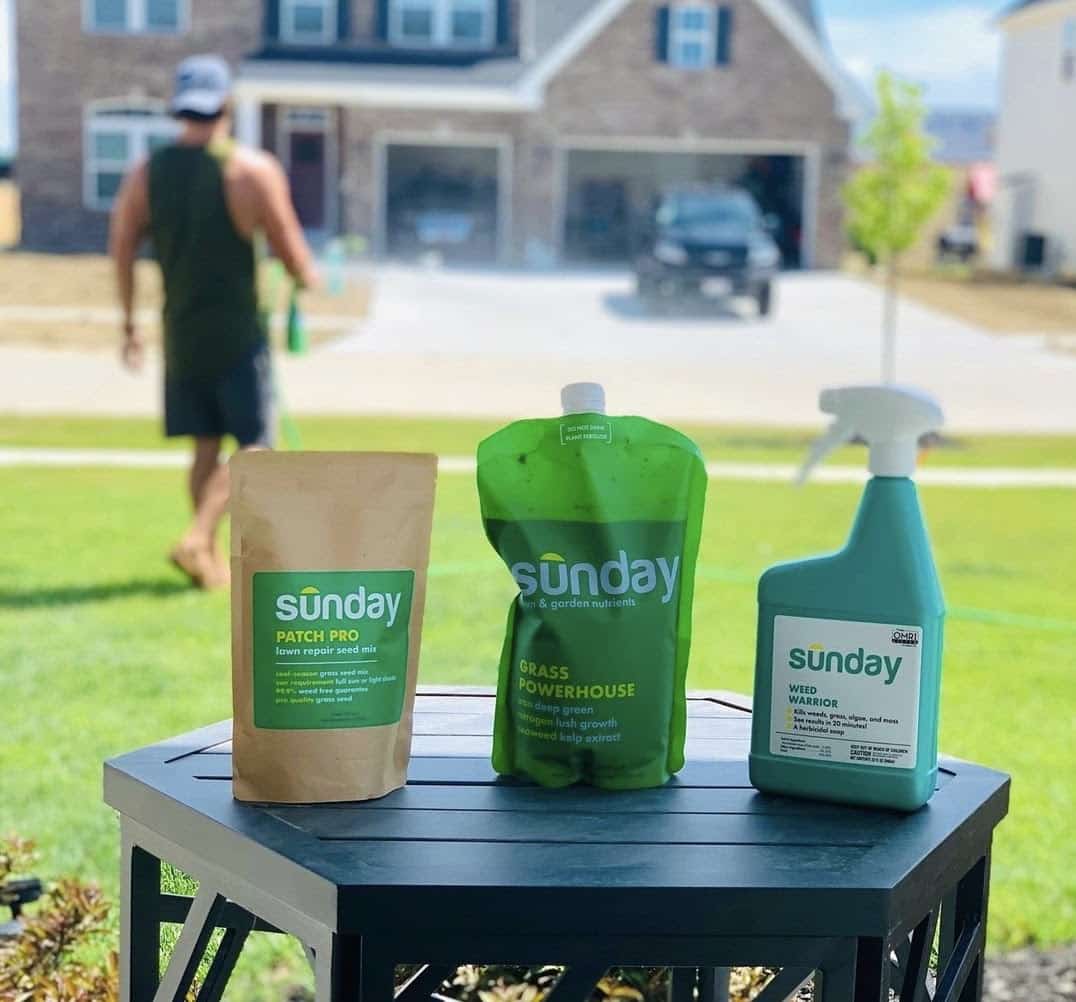 Sunday Lawn Care Review Must Read This Before Buying