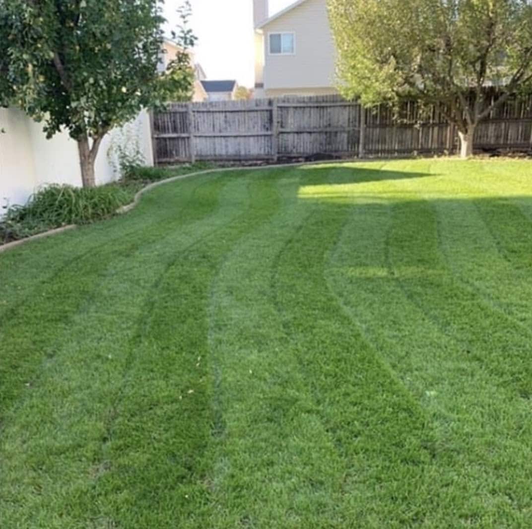 Sunday Lawn Care Instructions