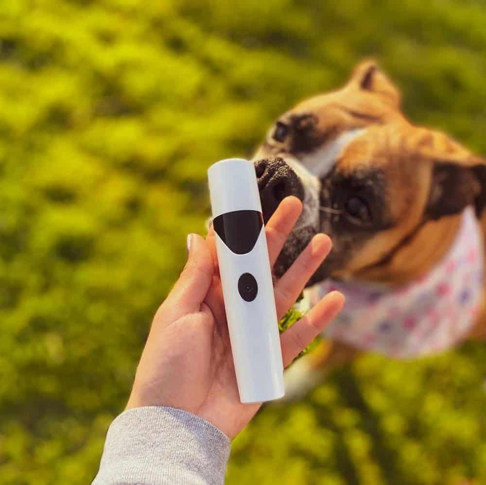 Alpha Paw Nail Trimmer for Pets Review